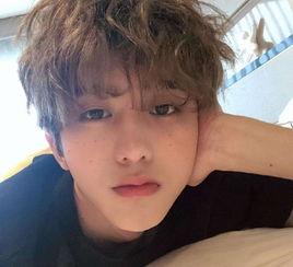 娱乐爆料蔡坤是真的吗,娱乐爆料背后的真相